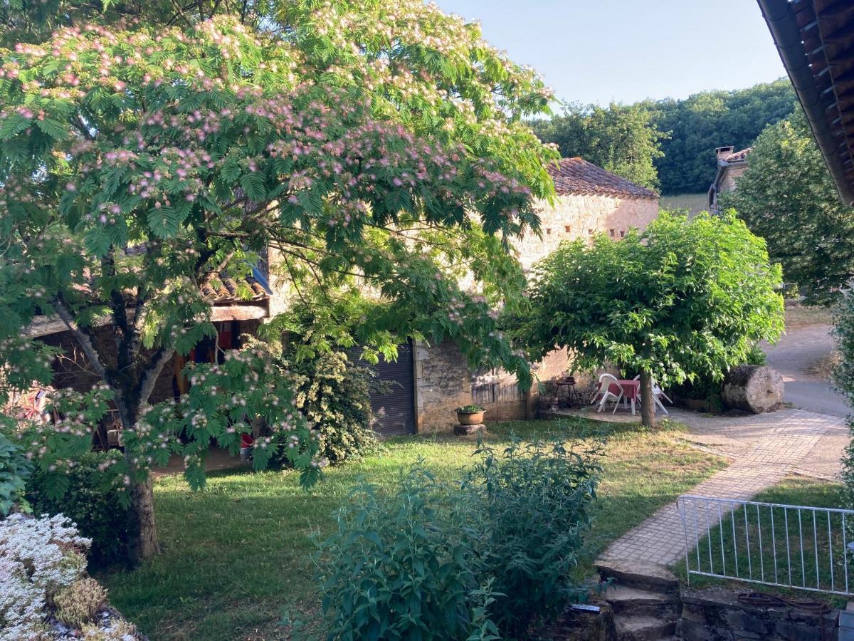 La Ferme Du Paradis Verfeil-sur-Seye المظهر الخارجي الصورة