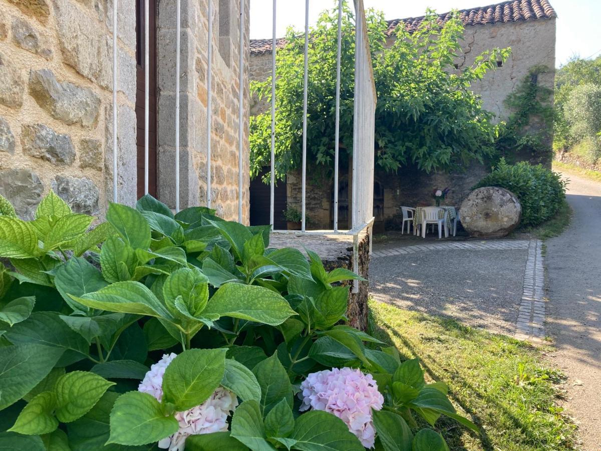 La Ferme Du Paradis Verfeil-sur-Seye المظهر الخارجي الصورة
